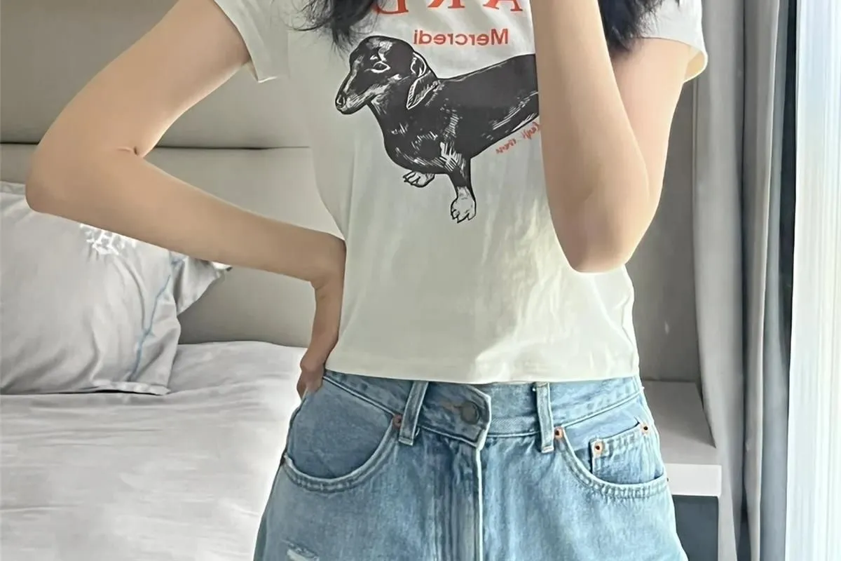 『S-2XL』おすすめ 大人らしい スタイリッシュ トレンド クラシック フィット感 Tシャツ