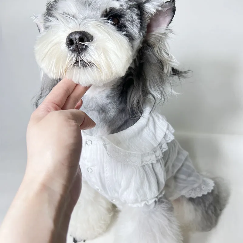 人気上昇中 高品質 おしゃれ ゴージャス きもちいい シックペット服