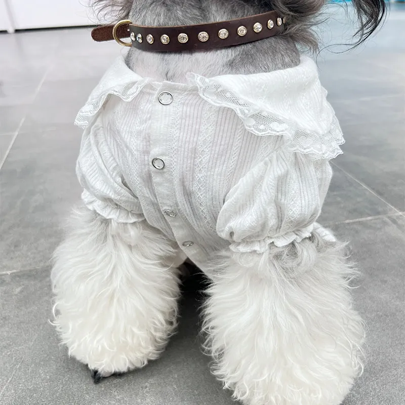 人気上昇中 高品質 おしゃれ ゴージャス きもちいい シックペット服